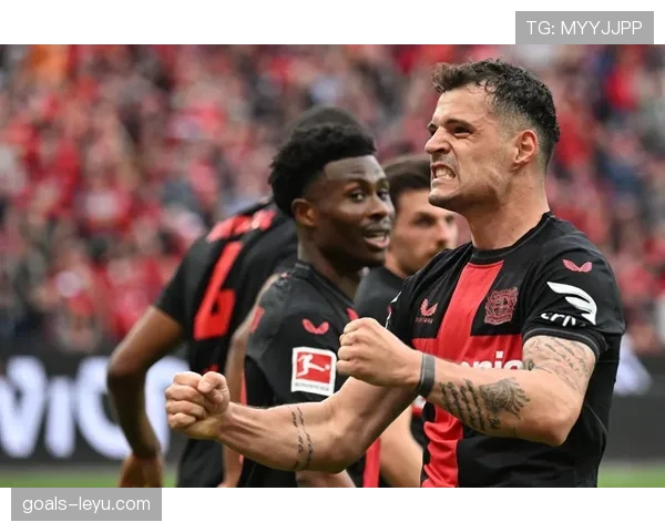 勒沃库森延续不败纪录，强势领跑德甲